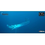 leurre-cyl-artesano-real-squid-160mm-video.jpg