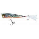 popper-3ds-popper-f1134-couleur-tennessee-shad-tsh-.jpg