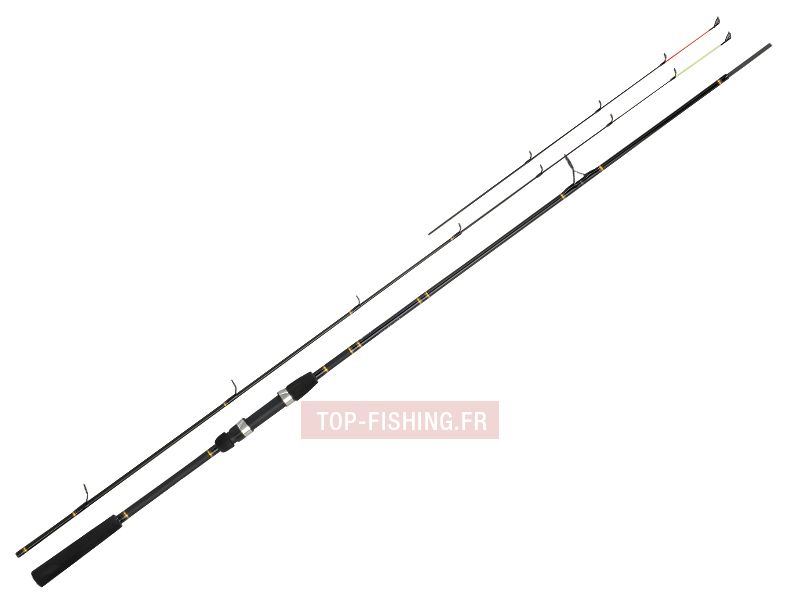 canne-daiwa-exceler-quiver-tip.jpg