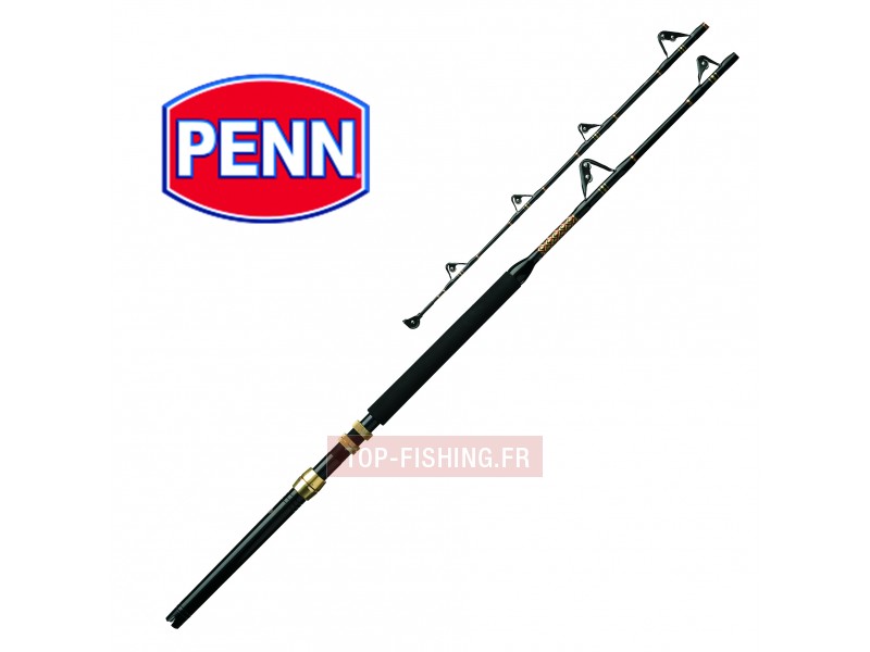 MOULINET PENN SENATOR 114 6/0 + CANNE PENN MARINER 30 80 LBS, Sport, Pêche