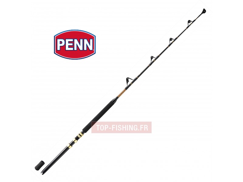 CANNE A PECHE PENN MARINER STAND UP ANNEAUX Matériel de pêche, pour pêche en