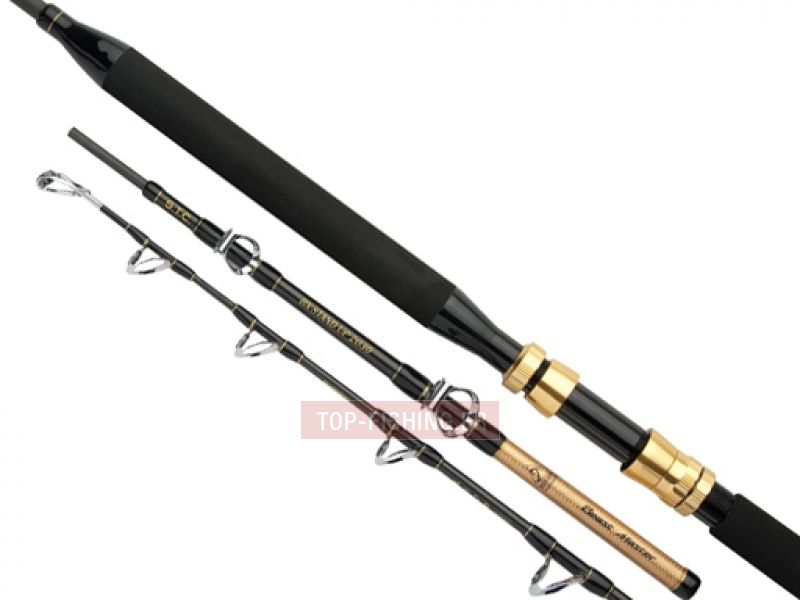 petite annonce CANNE A PECHE SHIMANO ULTEGRA SURF CASTING  Petite Île (97429)