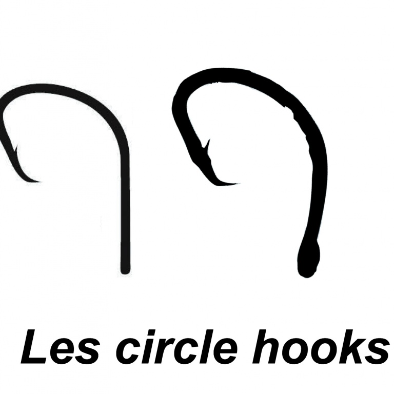 Pour utiliser les assist hook, sachez que vous ne devez jamais ferrer. Pour utiliser les assist hook, sachez que vous ne devez jamais ferrer.
