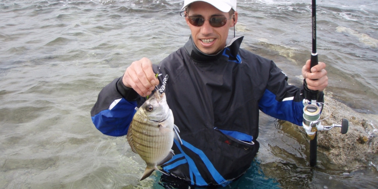 Un sar au poisson nageur en rockfishing Un sar au poisson nageur en rockfishing