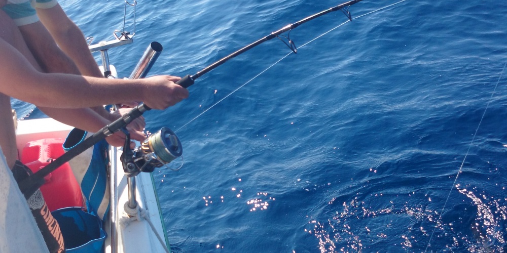 Pêche d'un thon, le Stella SW à l'oeuvre