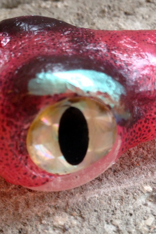 Gros plan de l'oeil du Calamar Vivo