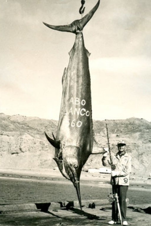 Marlin record