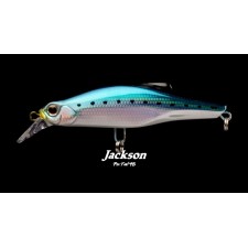 -leurre-way-of-fishing-pintail-48-.jpg