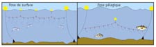 DESSINPL15H.jpg DESSINPL15H.jpg