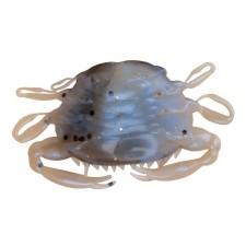 app-ots-berkley-gulp-saltwater-peeler-crab-5-cm-4-1109389 app-ots-berkley-gulp-saltwater-peeler-crab-5-cm-4-1109389
