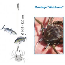 bas-de-ligne-flashmer-montage-a-crabe-2.jpg bas-de-ligne-flashmer-montage-a-crabe-2.jpg