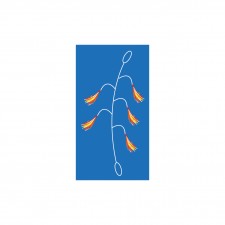 bas-de-ligne-flashmer-plumaq-2.jpg