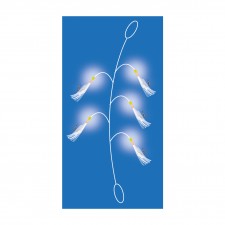 bas-de-ligne-flashmer-top-bar-2.jpg