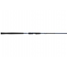 canne-13-fishing-defy-s-spinning.jpg canne-13-fishing-defy-s-spinning.jpg