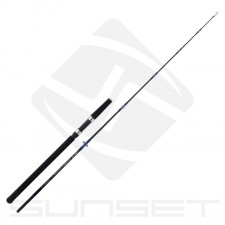 canne-baroudeur-jigging-180-2-10-20-lbs.jpg