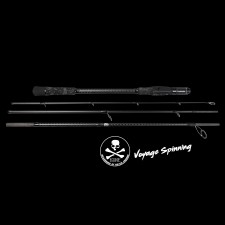 canne-bone-voyage-salt-finess-spinning.jpg