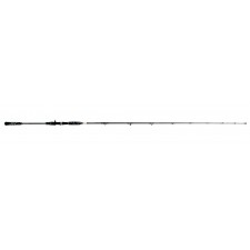 canne-casting-2m10.jpg canne-casting-2m10.jpg