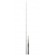 canne-daiwa-exceler-casting-10-ex602xxhfbosdf.jpg canne-daiwa-exceler-casting-10-ex602xxhfbosdf.jpg