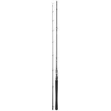 canne-daiwa-exceler-casting-9-ex742xhfbdf.jpg canne-daiwa-exceler-casting-9-ex742xhfbdf.jpg