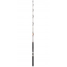 canne-daiwa-megaforce-boat-26mftr3050arcf.jpg