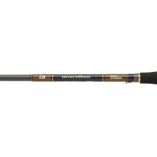 Canne Daiwa Morethan Branzino Expert Canne Daiwa Morethan Branzino Expert