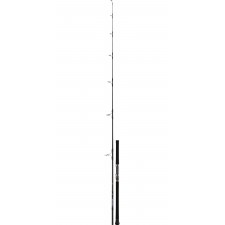 canne-daiwa-saltiga-casting.jpg canne-daiwa-saltiga-casting.jpg