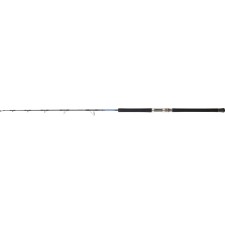 Canne Daiwa Saltiga Jigging Canne Daiwa Saltiga Jigging