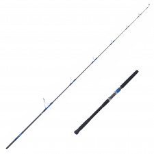 canne-daiwa-saltiga-spinning.jpg
