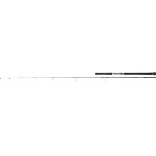 Canne Daiwa Saltiga Canne Daiwa Saltiga