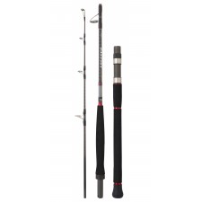 canne-daiwa-saltist-travel.jpg canne-daiwa-saltist-travel.jpg