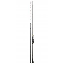 canne-daiwa-team-daiwa-tenya.jpg canne-daiwa-team-daiwa-tenya.jpg