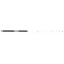 canne-jigging-italcanna.jpg canne-jigging-italcanna.jpg