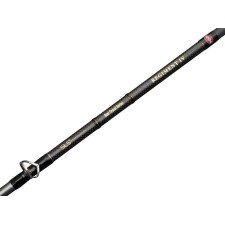 Canne Penn Regiment IV Boat Travel Rod