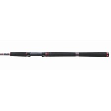 canne-penn-squadron-iii-sw-spin-spinning-rod-3.jpg