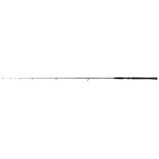 canne-penn-wrath-ii-dorade-spinning-rod.jpg