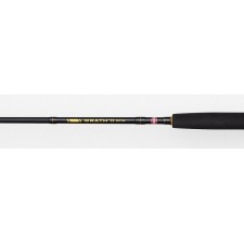 canne-penn-wrath-ii-spinning-rod-3.jpg