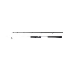 canne-shimano-game-type-jigging-cast.jpg