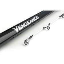 canne-shimano-vengeance-bx-solid-2.jpg