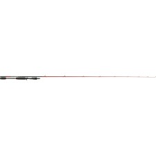 canne-tenryu-injection-bc-73-m.jpg canne-tenryu-injection-bc-73-m.jpg