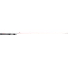 Canne Tenryu Injection BC 76H