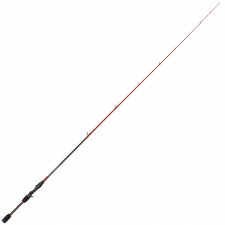 canne-tenryu-injection-bcv-6.0-h-2.jpg