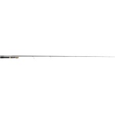 canne-tenryu-injection-fast-finess.jpg