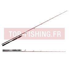 canne-tenryu-injection-sp-73-m.jpg