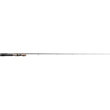 canne-tenryu-injection-spv-6-5-mh.jpg