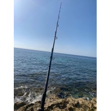 canne-top-fishing-sound-decoy-2.jpg