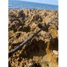 canne-top-fishing-sound-decoy.jpg