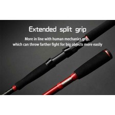 canne-top-sea-aggress-sea-bass-rod-type-2.jpg