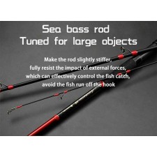 canne-top-sea-aggress-sea-bass-rod-type-4.jpg