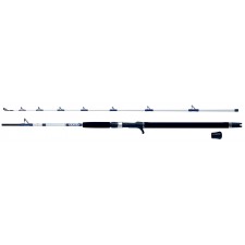canne-wft-coastal-king-7.jpg canne-wft-coastal-king-7.jpg