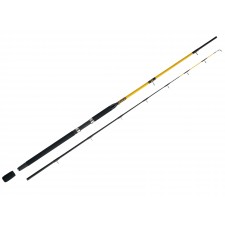 canne-wft-never-crack-downrigger-2m50.jpg canne-wft-never-crack-downrigger-2m50.jpg